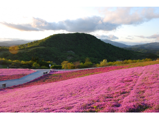 H23/05/30　撮影 