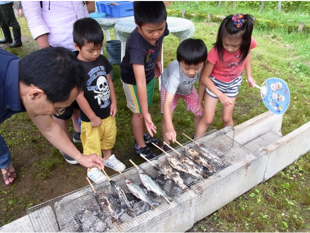 取れた魚をさばいて食べよう魚のつかみ取り体験
👆クリックで特設ページに移動します