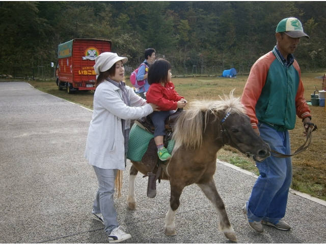 ポニー乗馬体験