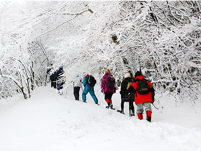 雪道を一歩一歩……