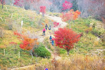 鮮やかな紅葉の中で