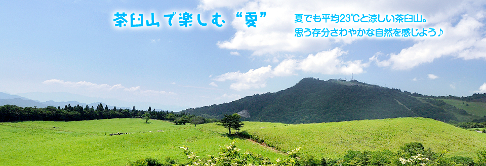 茶臼山で楽しむ“夏”