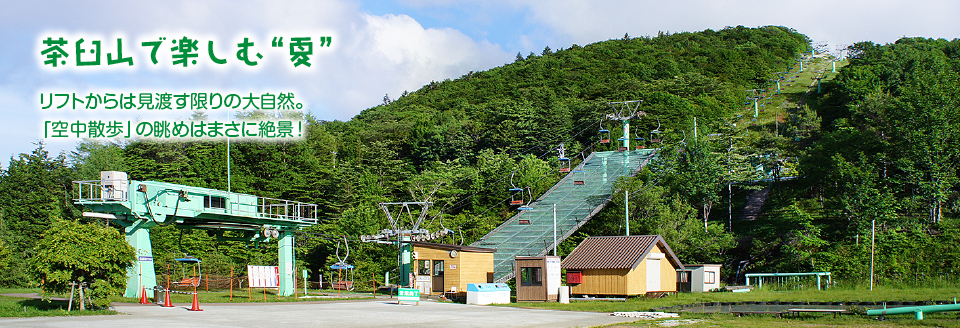 茶臼山で楽しむ“夏”