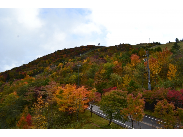 茶臼山高原道路